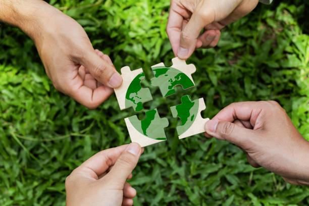 istockphoto-2163172073-612x612.jpg