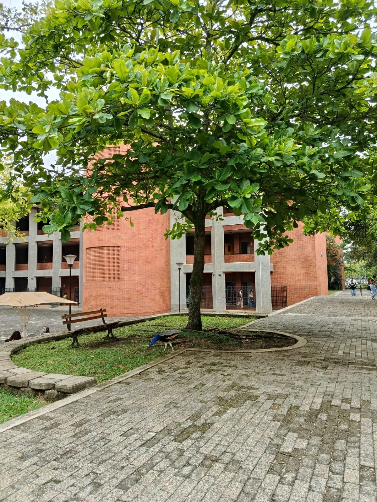 l 2.jpg