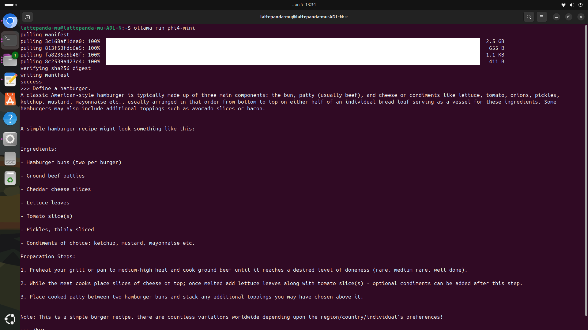 lattepanda_mu_ollama_php_client_set_additional_model_9.png