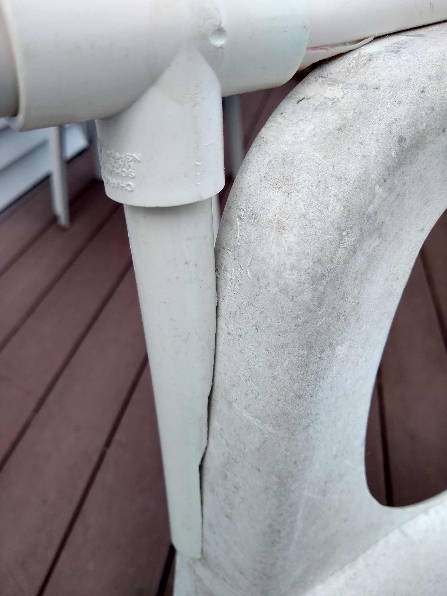 leg front.jpg
