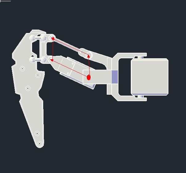 leg.jpg