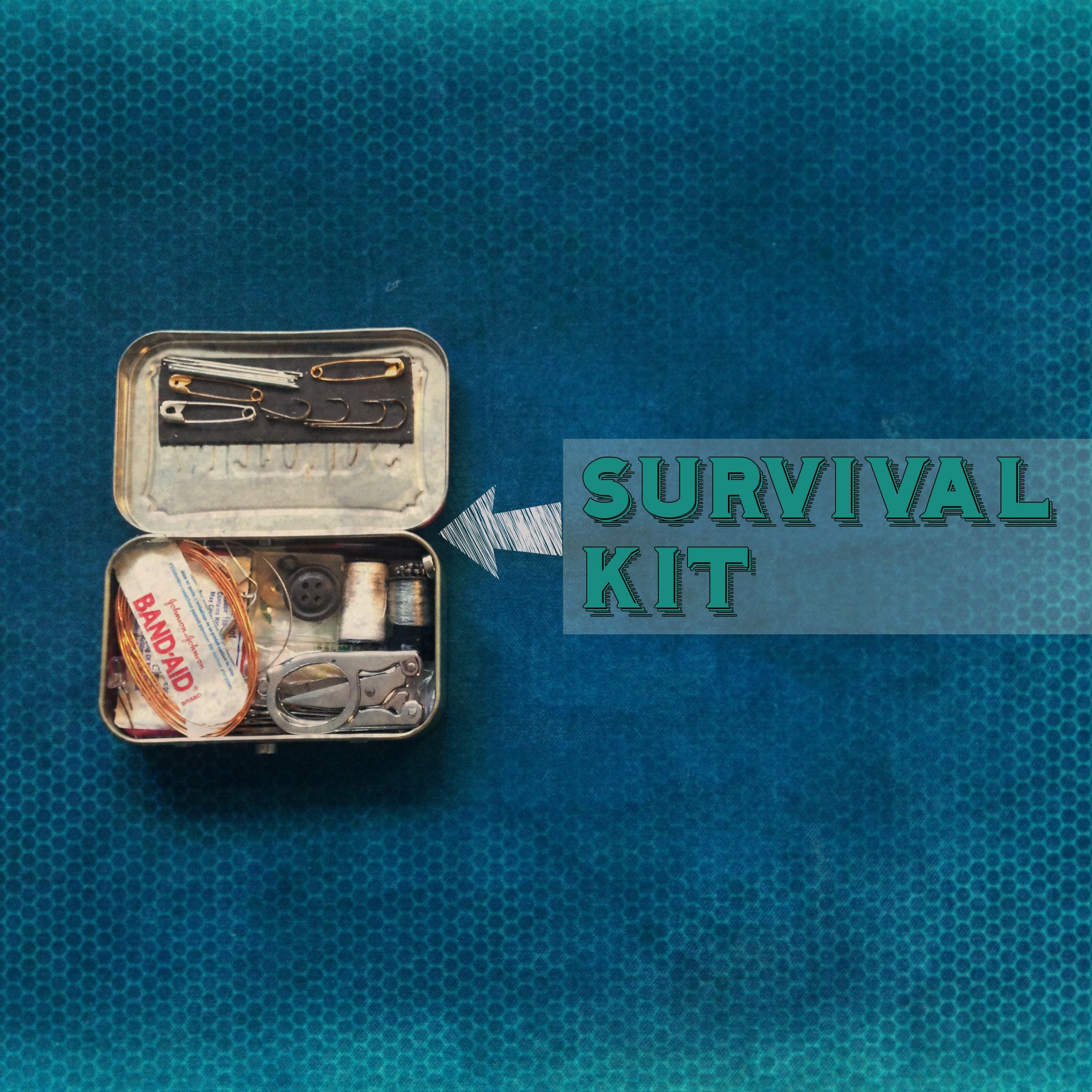 lets survive.jpg