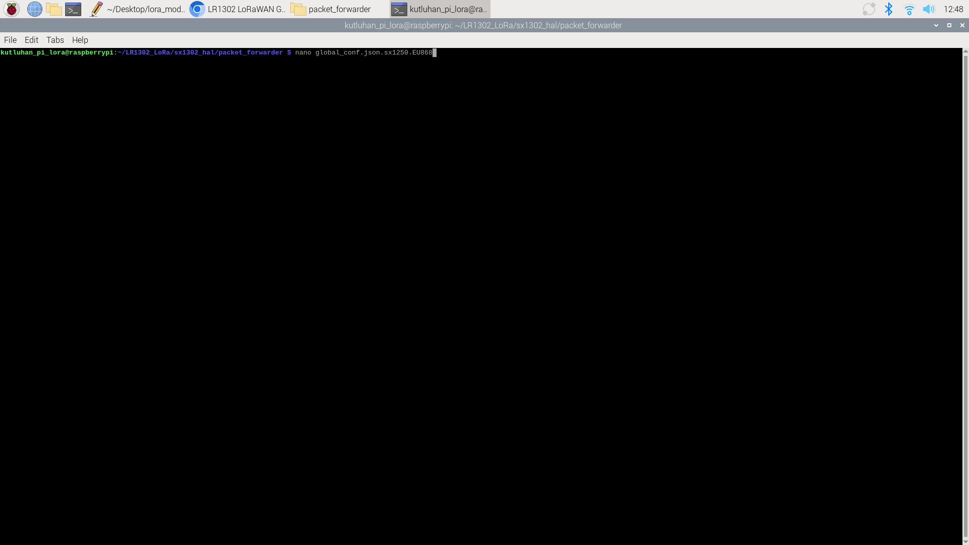 lora_config_ttn_on_rasp_3.png