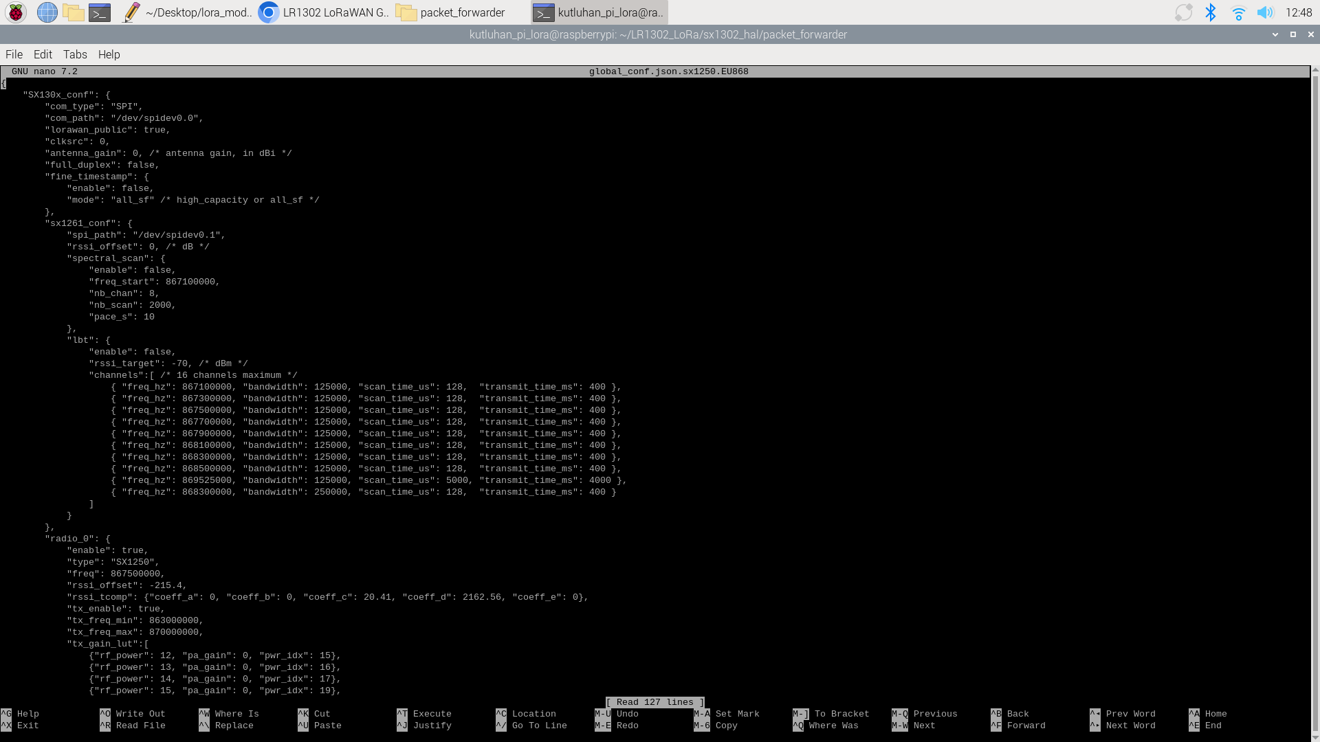 lora_config_ttn_on_rasp_4.png