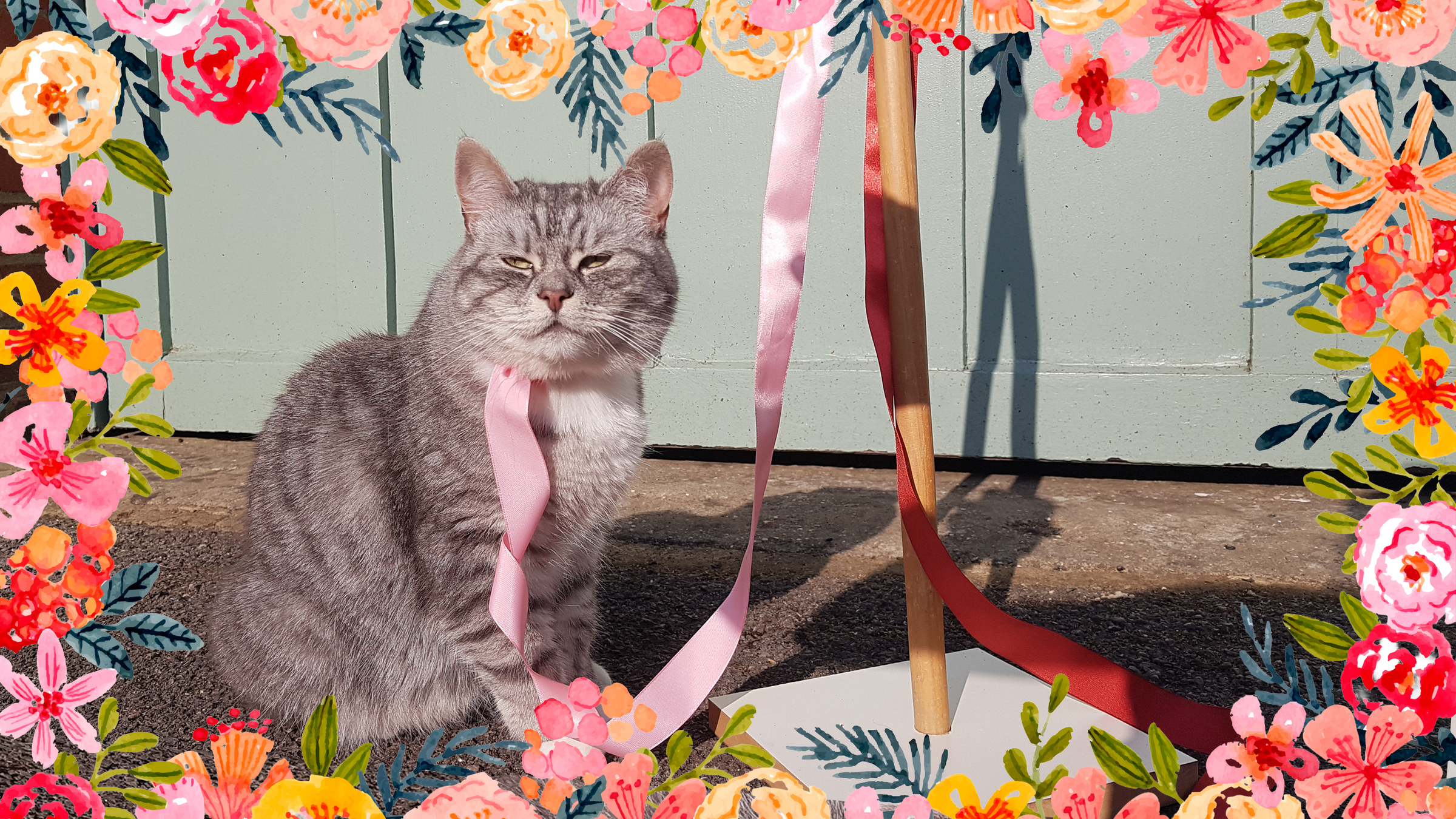 maypole.png