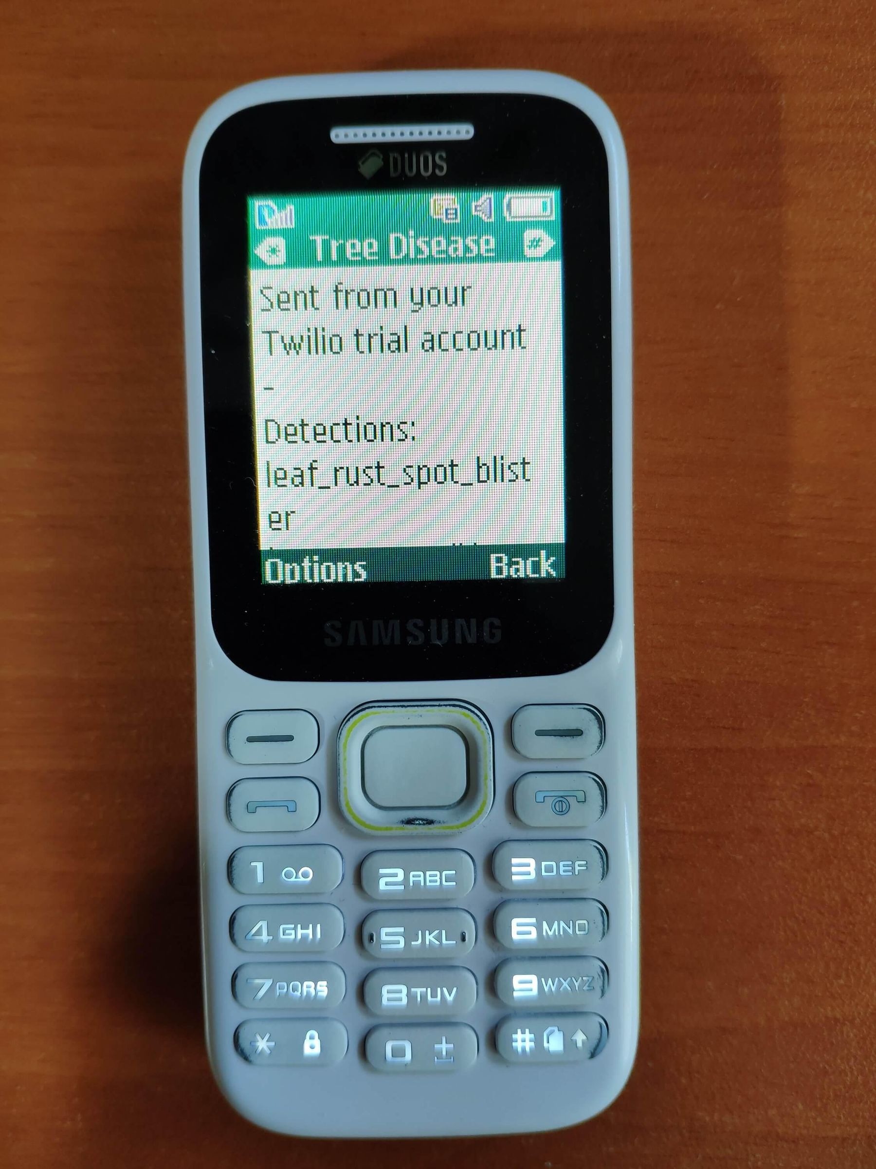 mms_3.jpg
