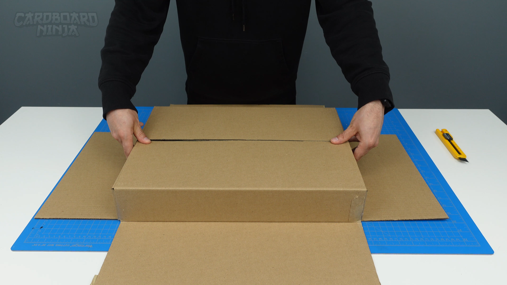 modern_cardboard_cat_house_1C.png