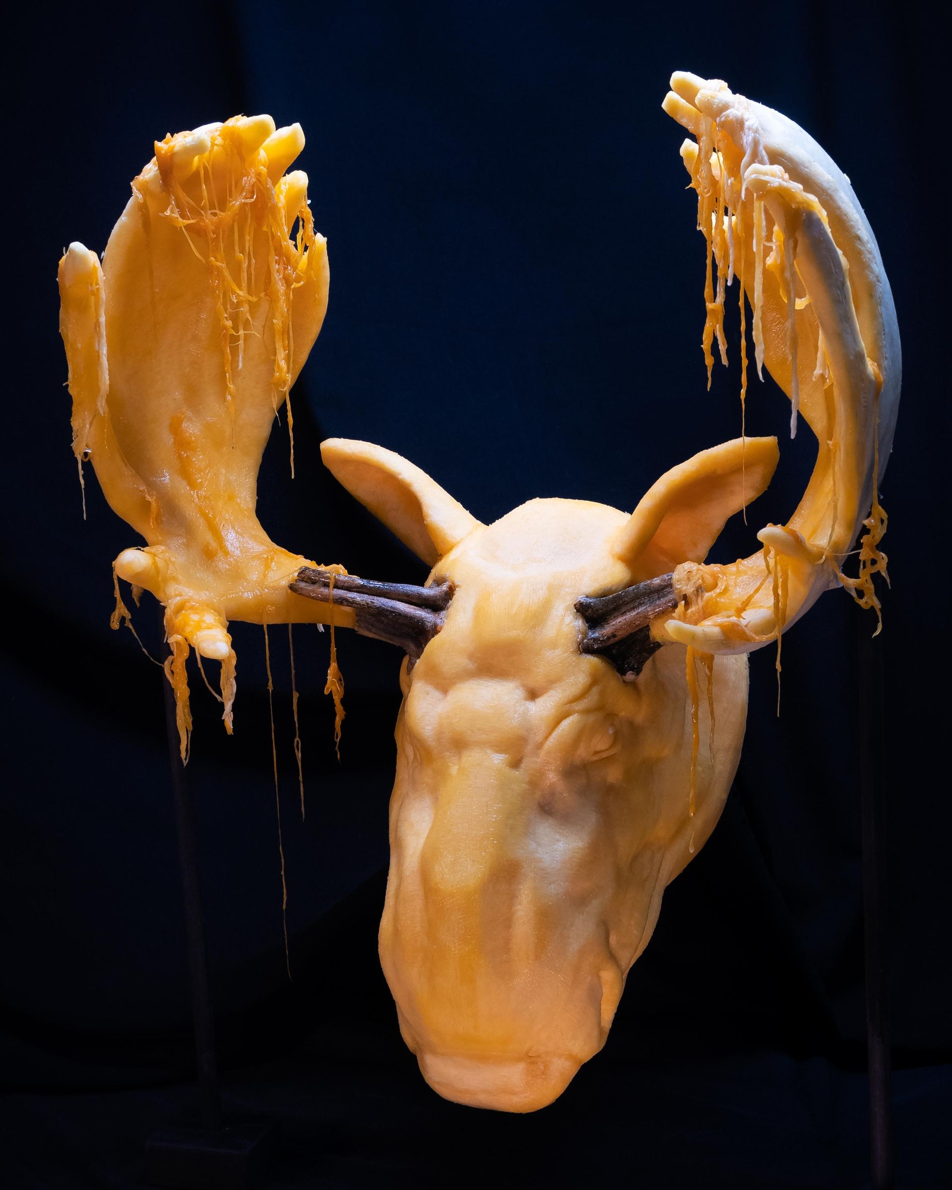 moose_final_velvet_001.jpg