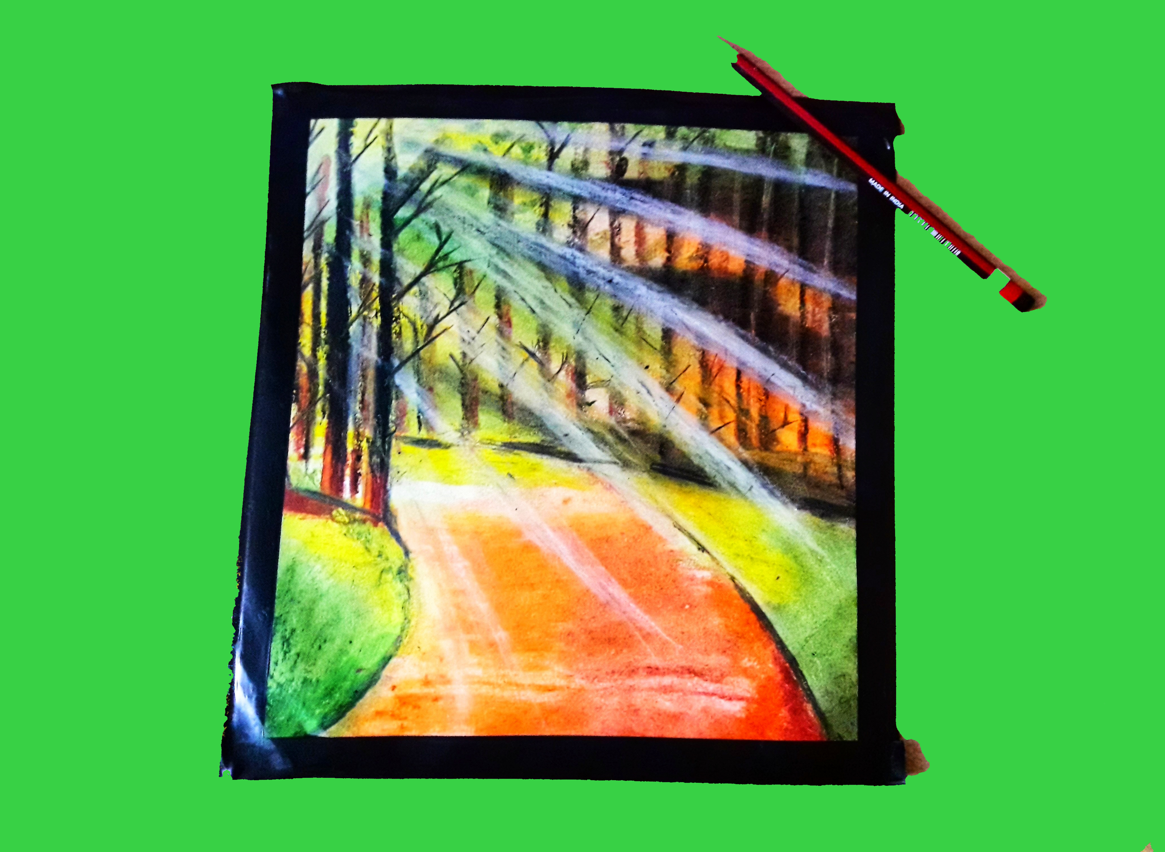 nature8.png