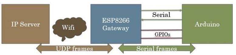 network.JPG