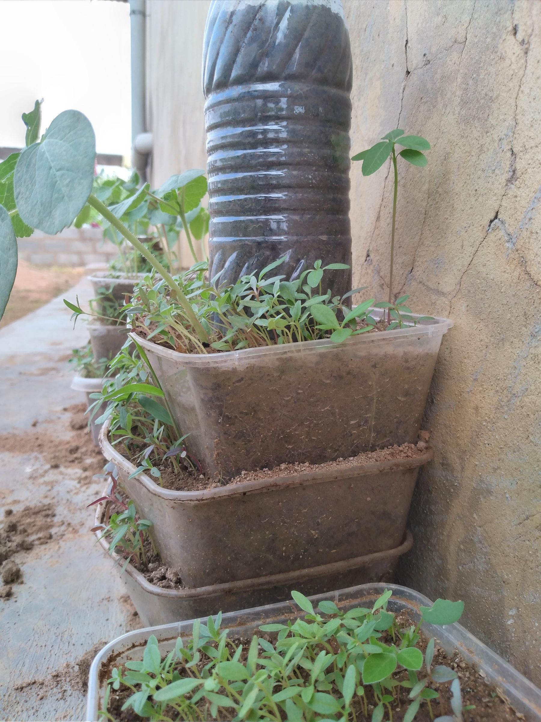 nifty plastic trash diy cheap no cost self watering (30).jpg