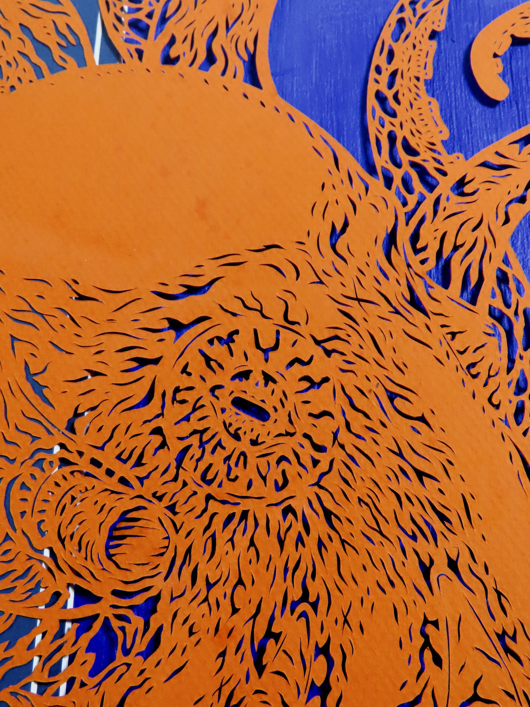 octo 1.jpg