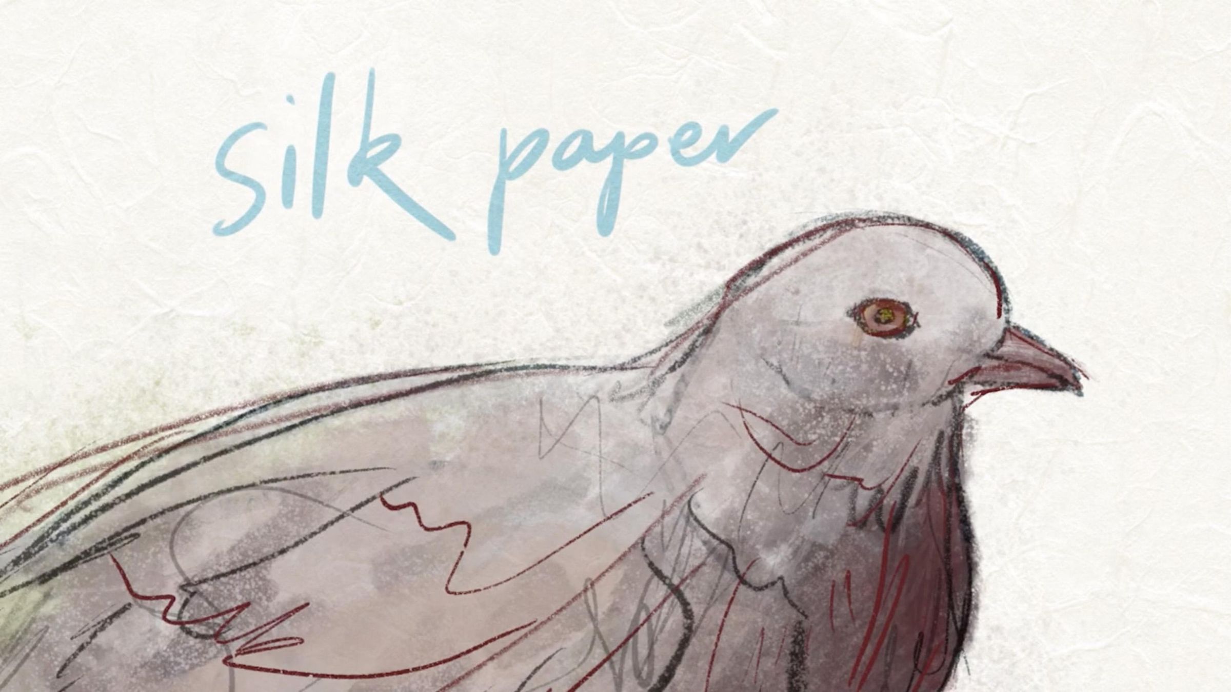 paper texture 17.jpg