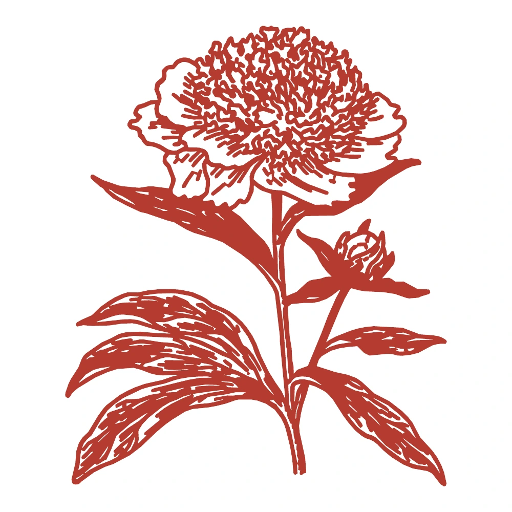 peony.png
