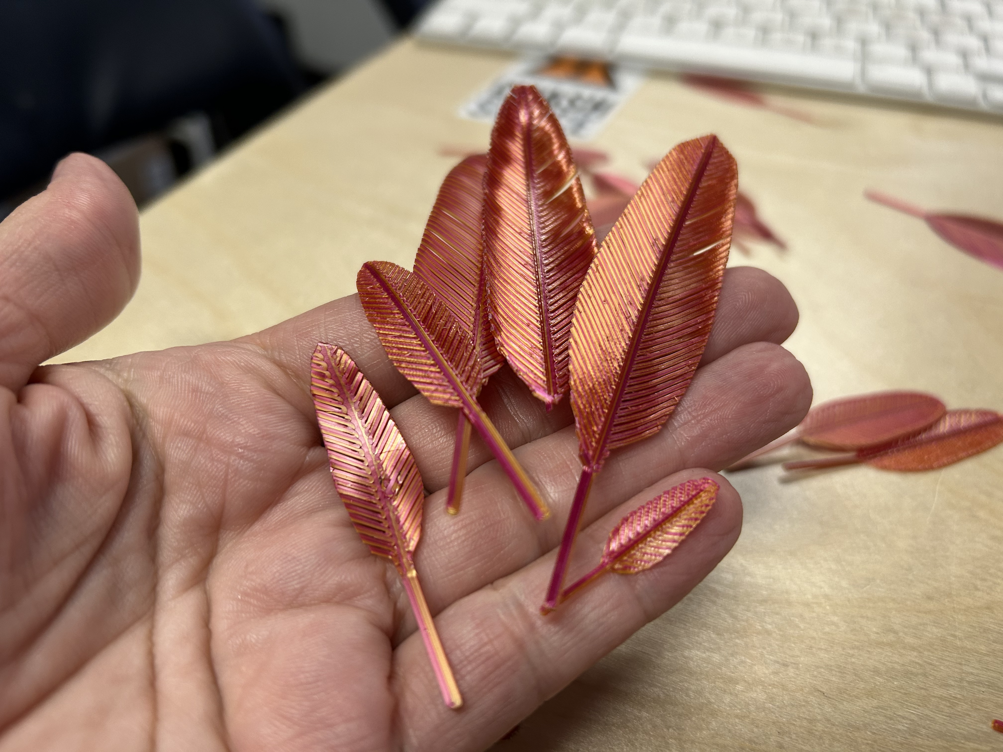 phoenixfeatherspla.png