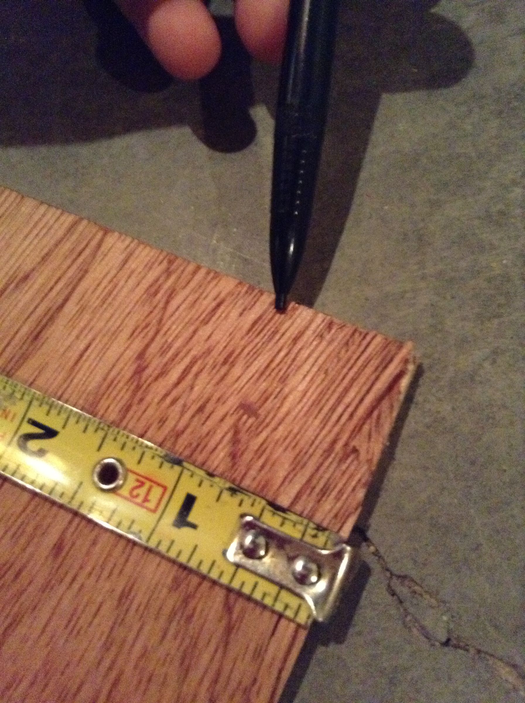 pics 1008.JPG