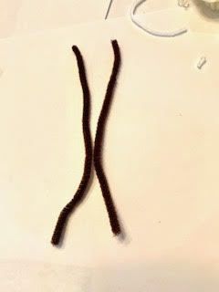 pipe cleaners.jpg