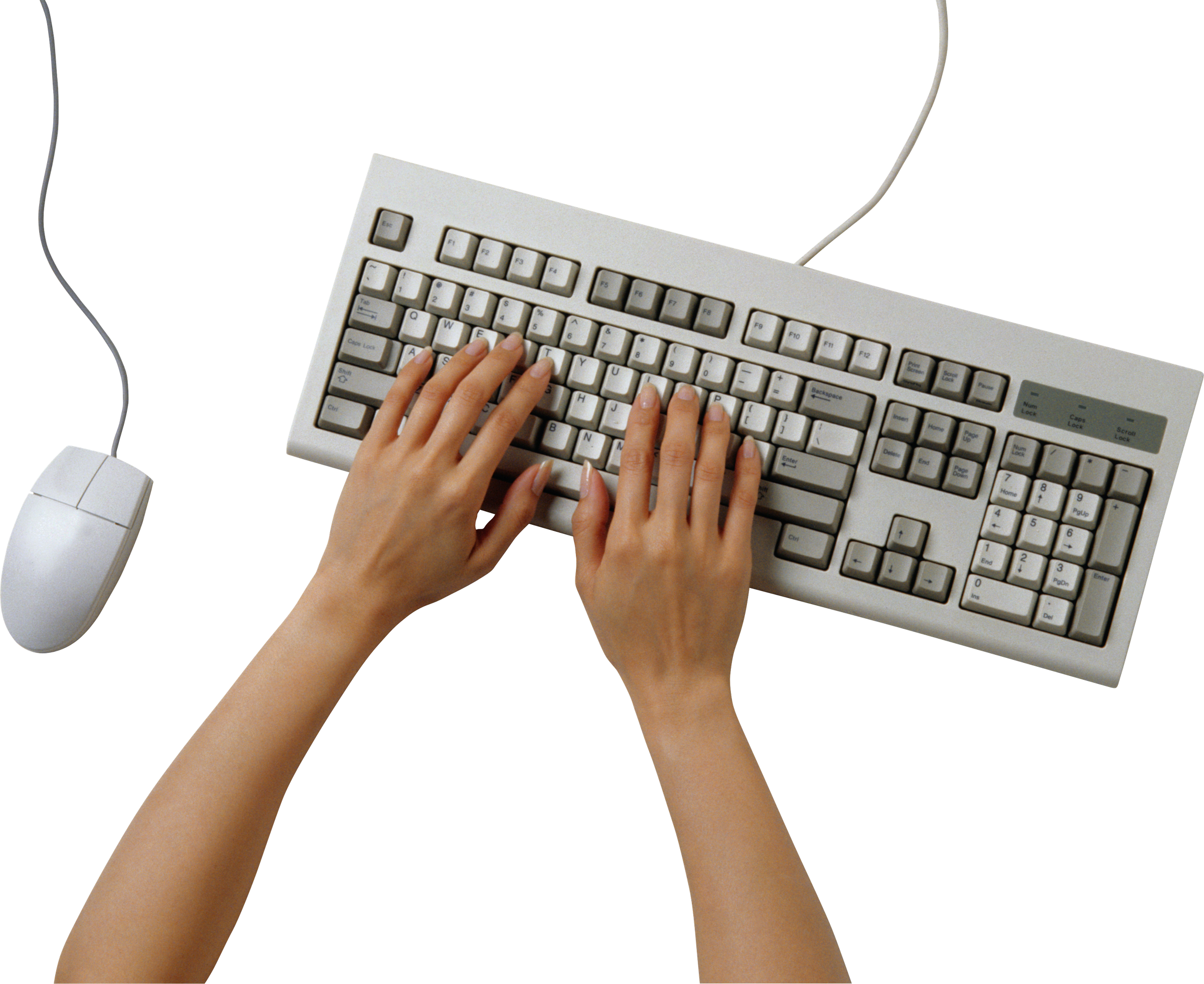 pngimg.com - hands_PNG98557.png