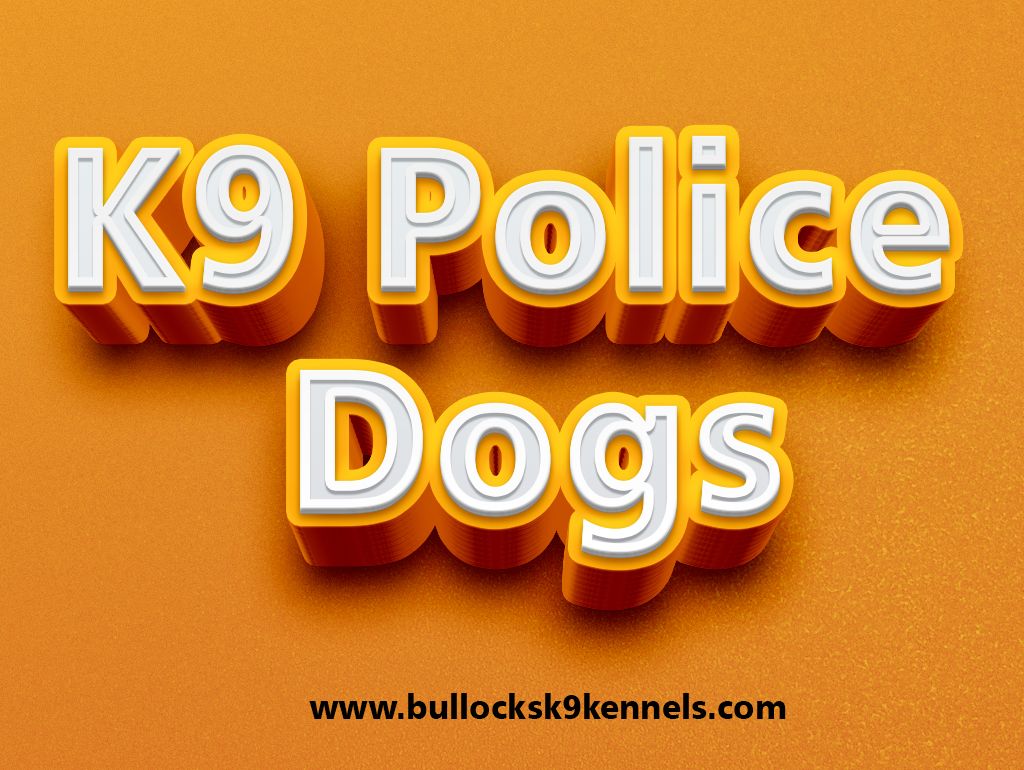 police k9s for sale.jpg