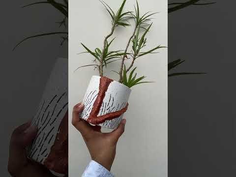 pot