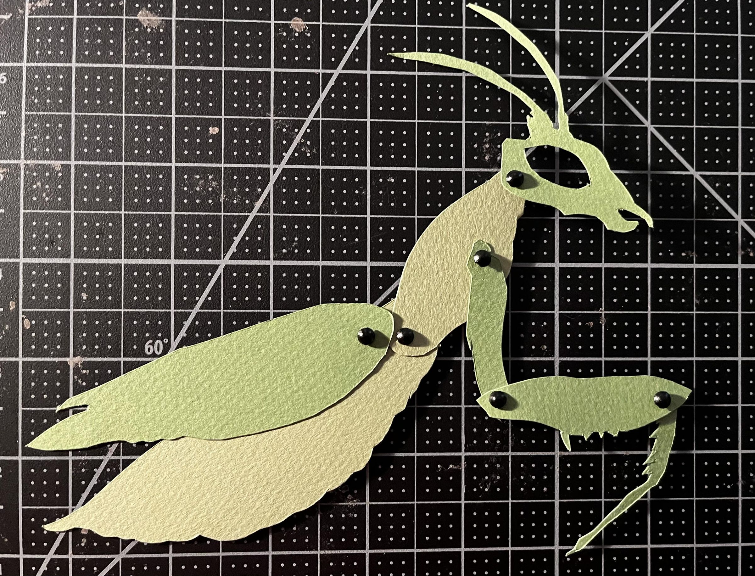 praying_mantis_puppet.jpg