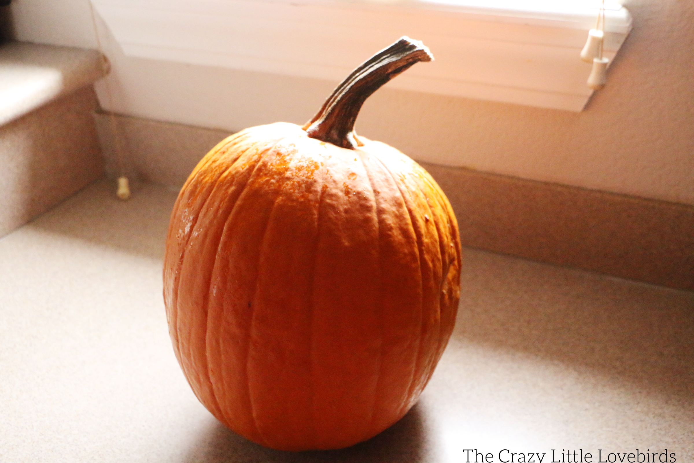 pumpkin.png