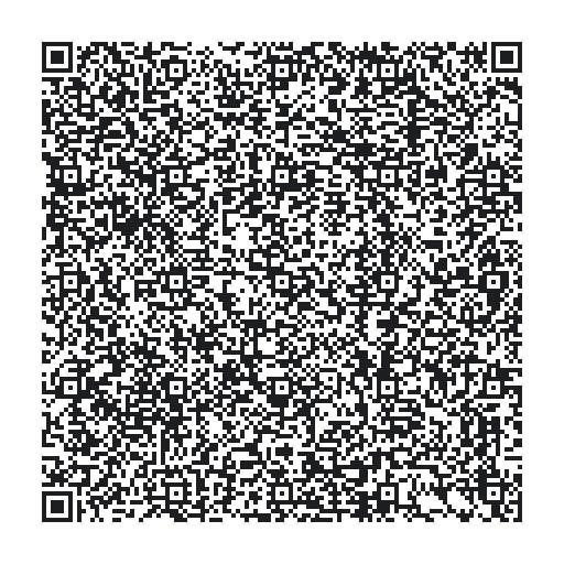 qr_code_bikeledisplaygui_Cr3knSYuAG.jpeg