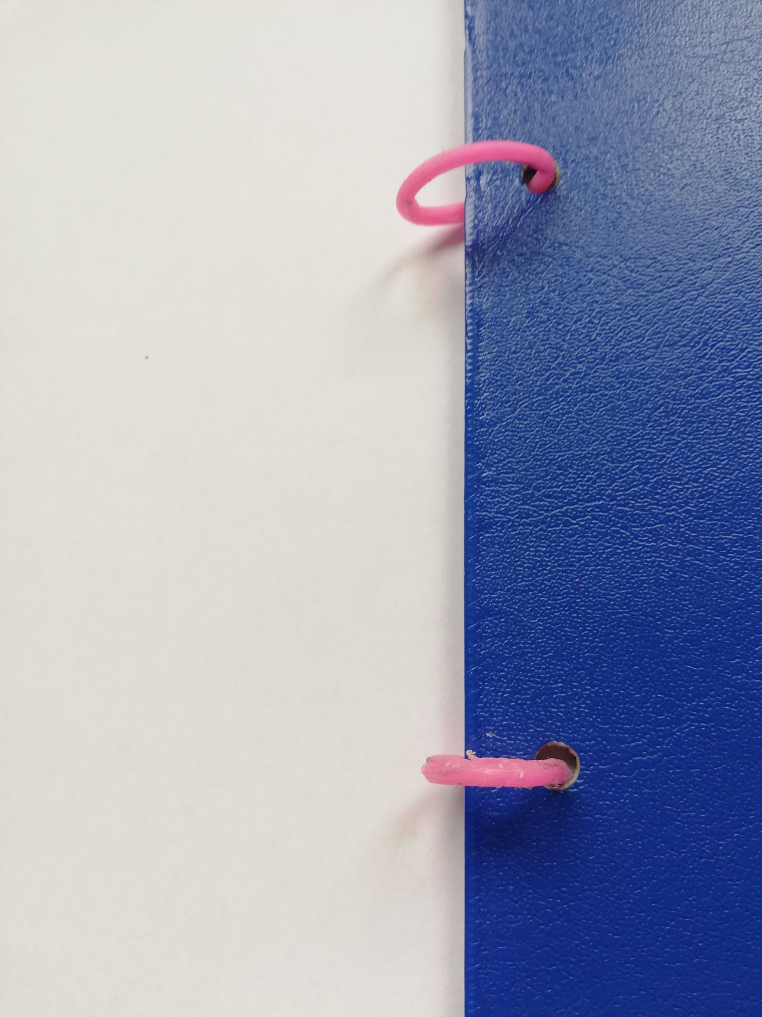 ring.jpg