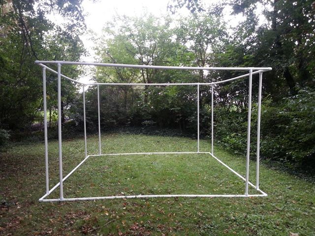 robinssukkah.jpg
