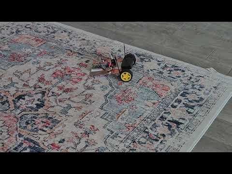 robot demo