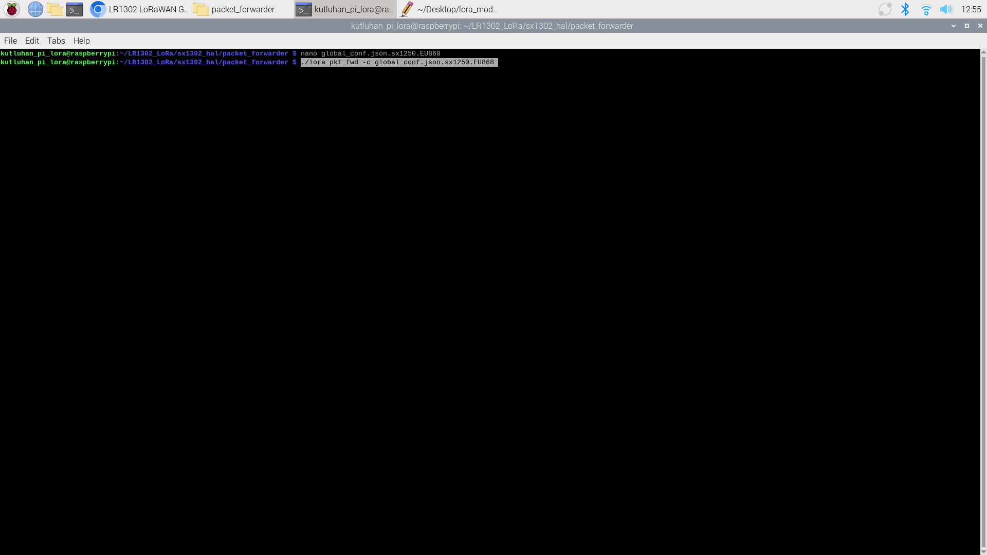 run_lora_gateway_on_rasp_1.png