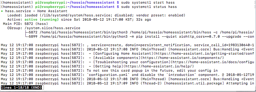 running_hass_systemd.png