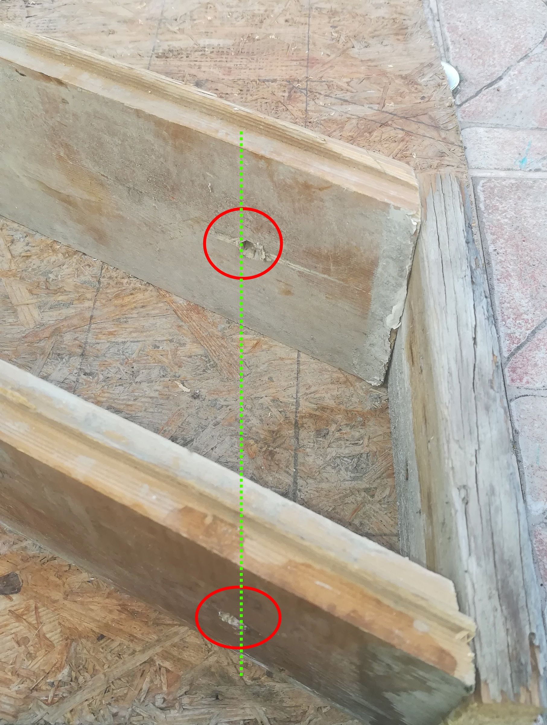 scaff_10.jpg