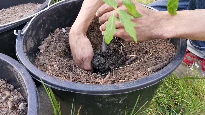 schritt 4.0.jpg
