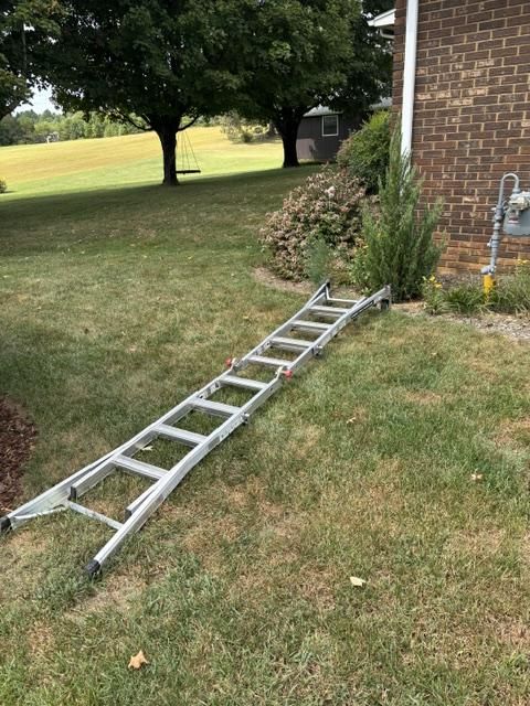setting up ladder.jpeg