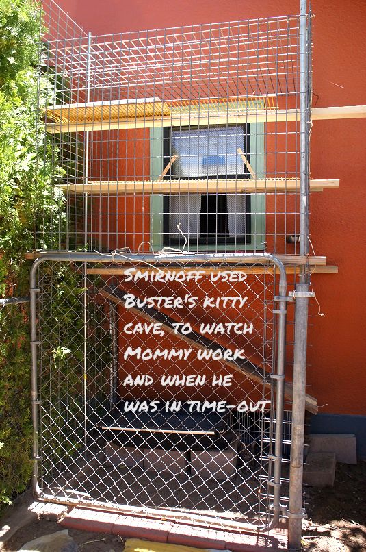 smirnoffaproncagepostnow.jpg