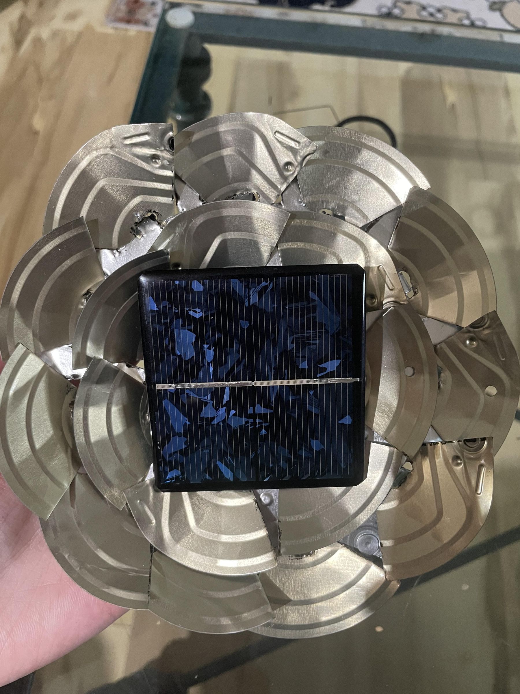 solar panel and petals.JPG