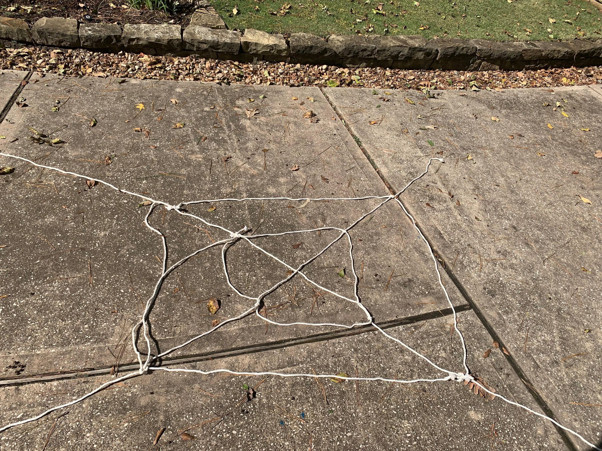 spiderweb.jpg