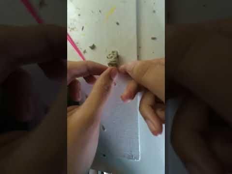 spongebob