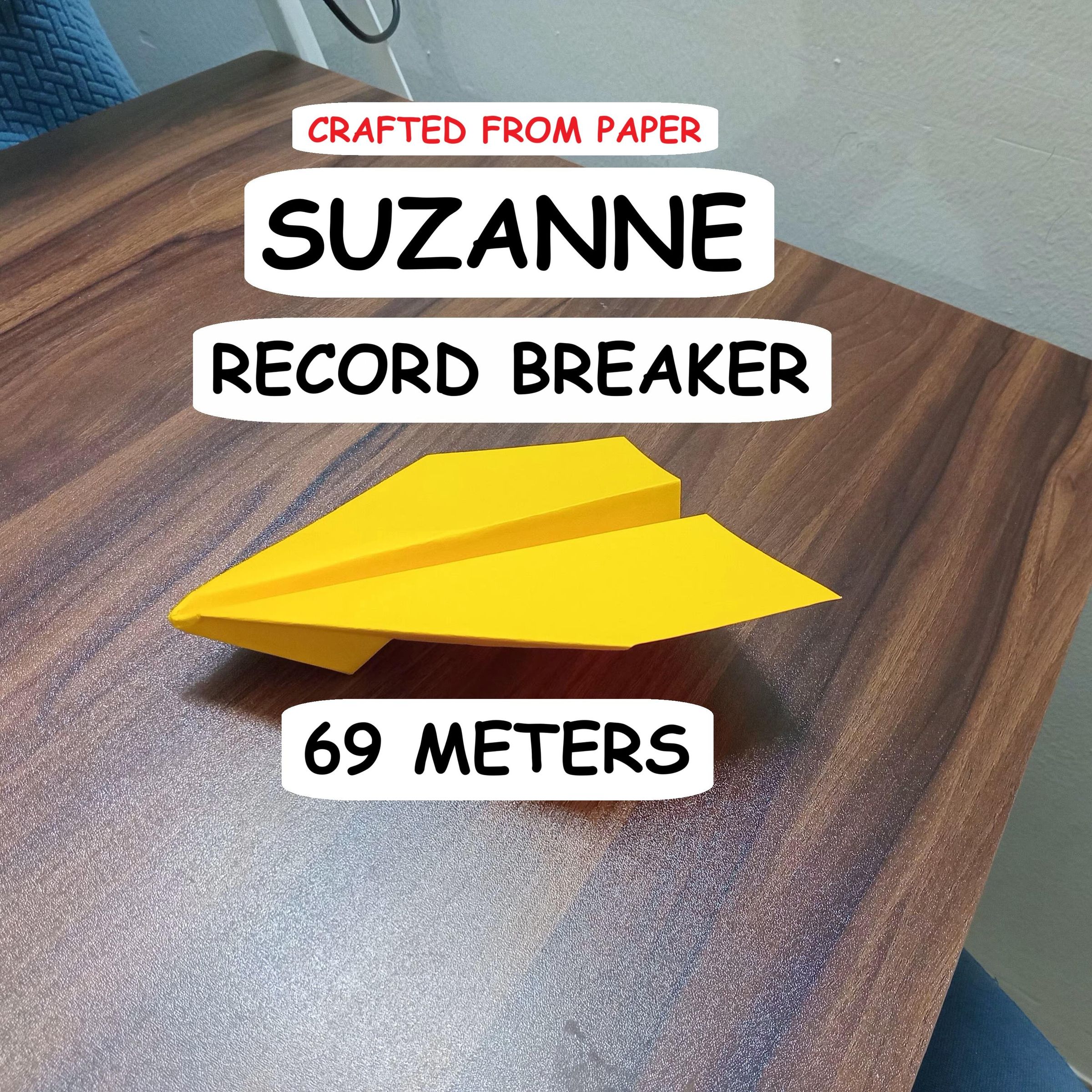 suzane plane record34.jpg