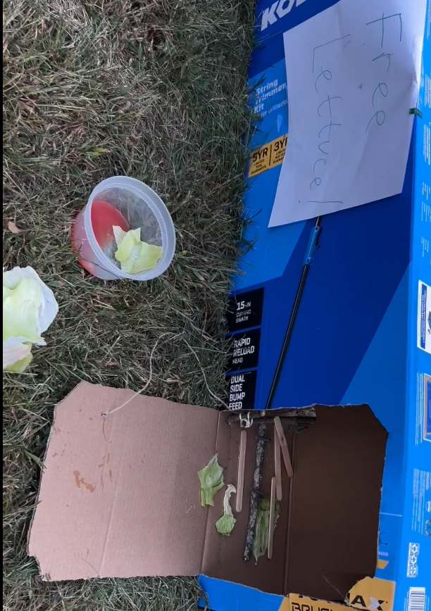 trap.png