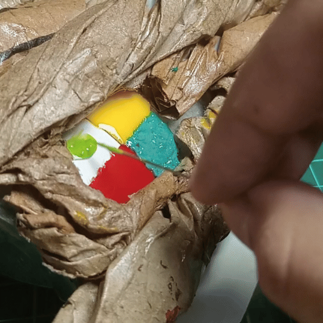 trunk(1).gif