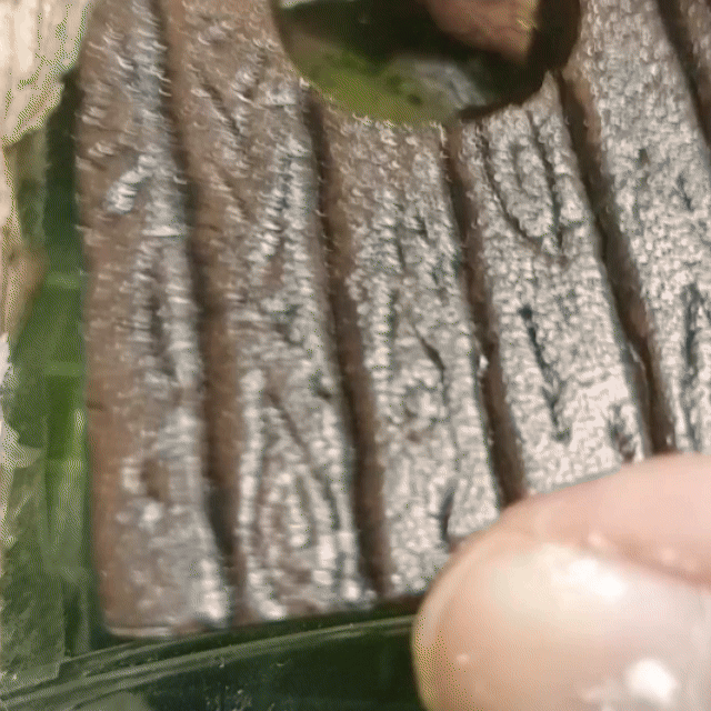 trunk(4).gif