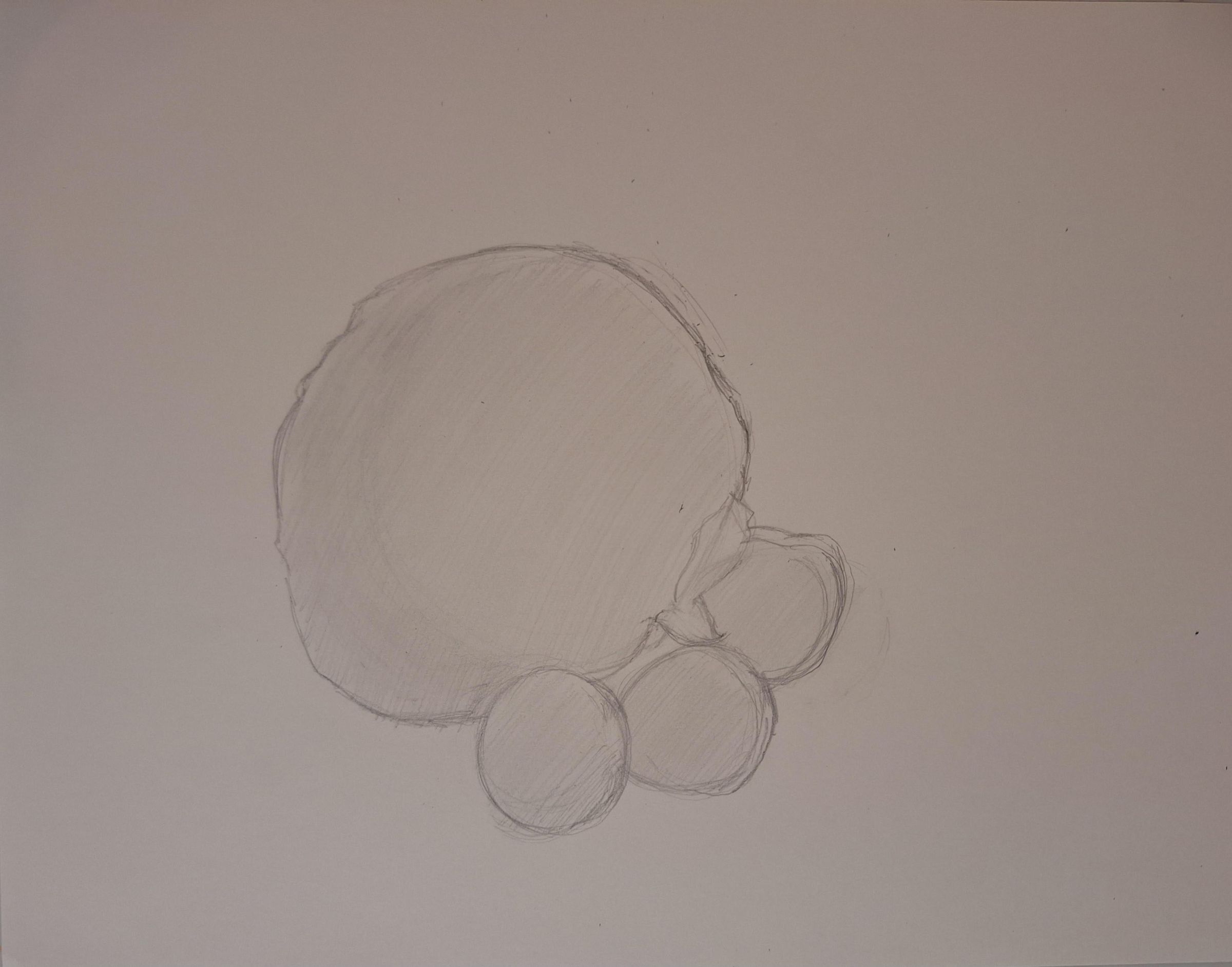 unnamed.jpg