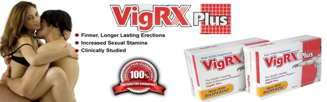 vigra_home.png