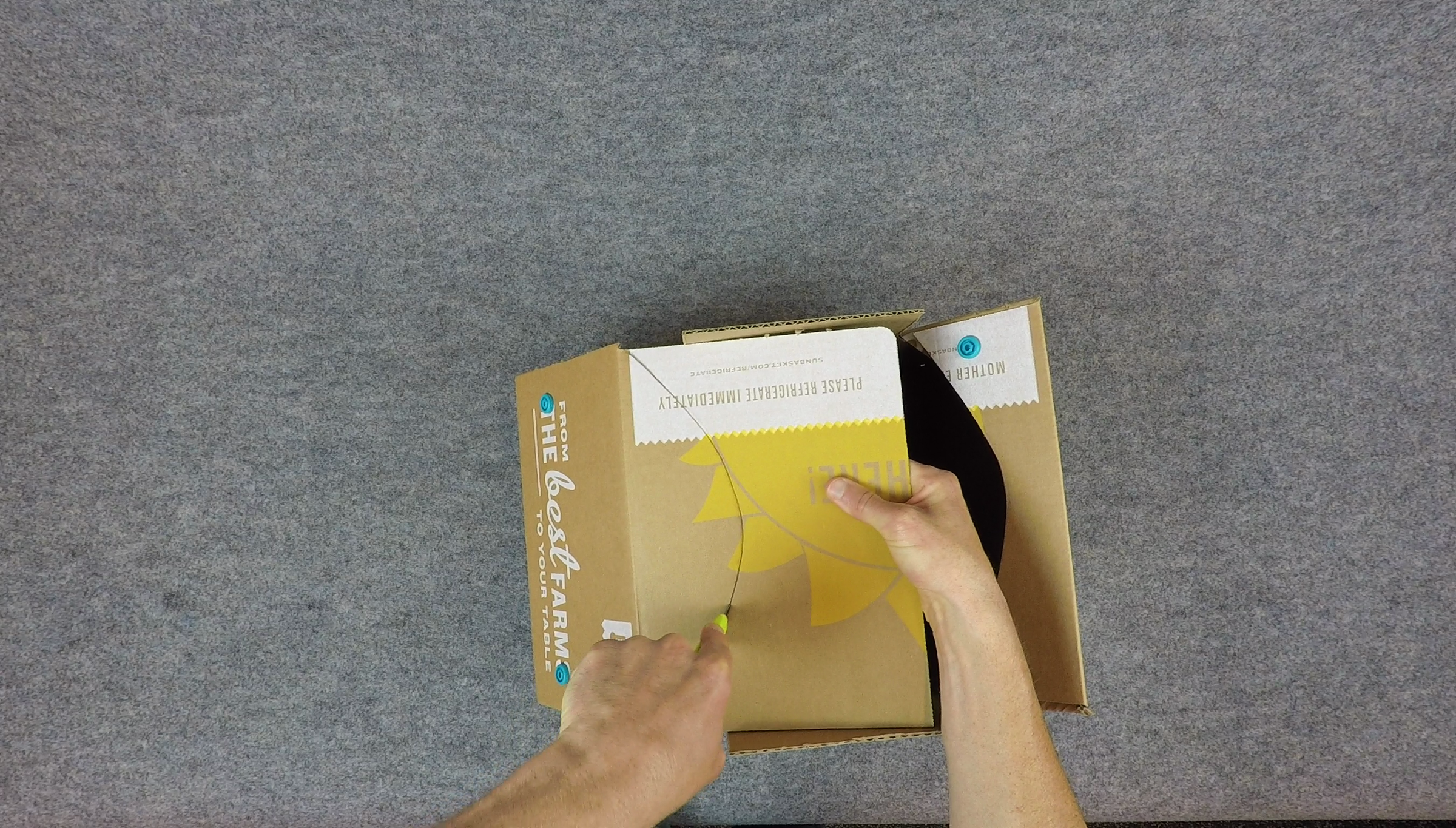 vlcsnap-00062.png