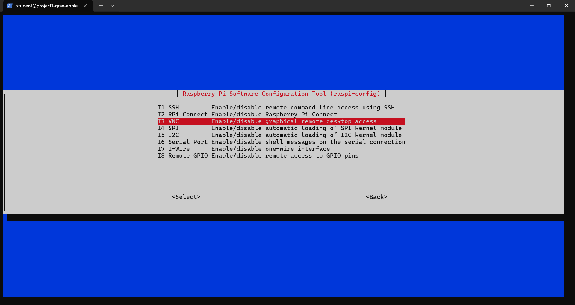 vnc.png