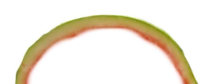 watermelon.jpg