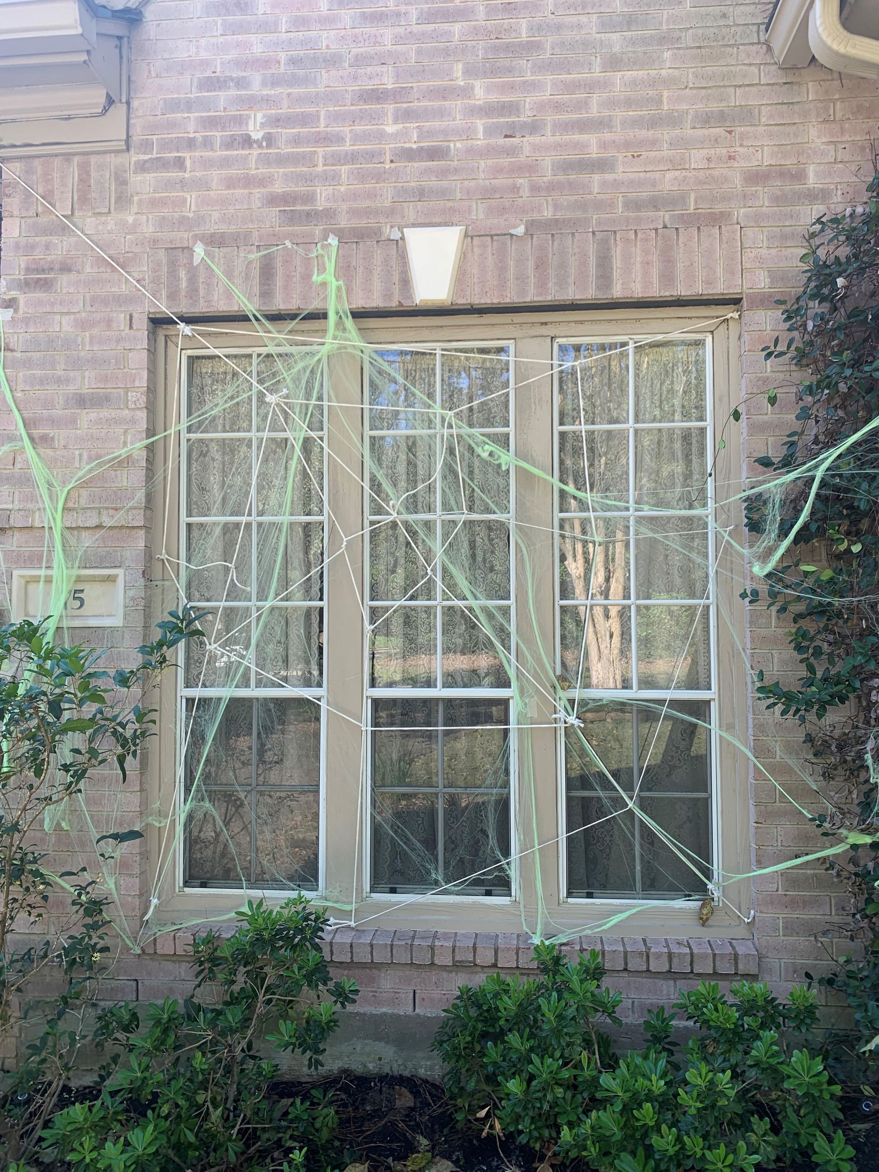 webonhouse.jpg