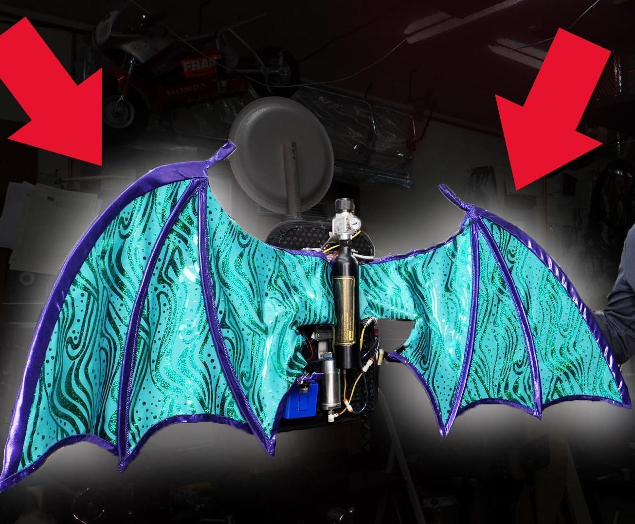 wings.jpeg